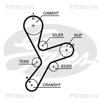 Zahnriemen TRISCAN 8645 5641XS