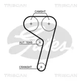 Zahnriemen TRISCAN 8645 5669XS