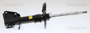 Stoßdämpfer TRISCAN 8705 10109