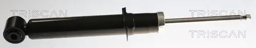 Stoßdämpfer Hinterachse TRISCAN 8705 11203