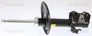 Stoßdämpfer Vorderachse rechts TRISCAN 8705 13102