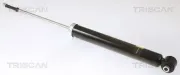 Stoßdämpfer Hinterachse TRISCAN 8705 13209