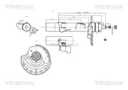 Stoßdämpfer TRISCAN 8705 16103