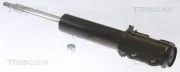 Stoßdämpfer Vorderachse TRISCAN 8705 23109