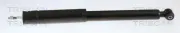 Stoßdämpfer Hinterachse TRISCAN 8705 23210