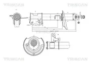 Stoßdämpfer TRISCAN 8705 24104