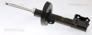 Stoßdämpfer Vorderachse rechts TRISCAN 8705 24113