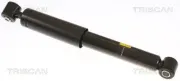Stoßdämpfer Hinterachse TRISCAN 8705 24201