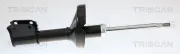Stoßdämpfer TRISCAN 8705 25113