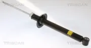 Stoßdämpfer Hinterachse TRISCAN 8705 25207
