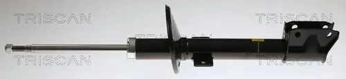 Stoßdämpfer Hinterachse TRISCAN 8705 25213