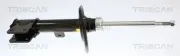 Stoßdämpfer TRISCAN 8705 28129