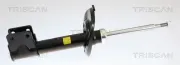 Stoßdämpfer TRISCAN 8705 28130