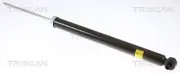 Stoßdämpfer Hinterachse TRISCAN 8705 50202