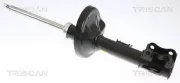 Stoßdämpfer TRISCAN 8705 69202