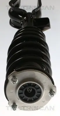 Stoßdämpfer Vorderachse rechts TRISCAN 8705 81103 Bild Stoßdämpfer Vorderachse rechts TRISCAN 8705 81103