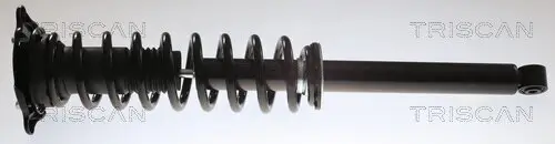 Stoßdämpfer Hinterachse links Hinterachse rechts TRISCAN 8705 81202