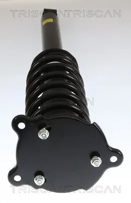 Stoßdämpfer Hinterachse links Hinterachse rechts TRISCAN 8705 81203 Bild Stoßdämpfer Hinterachse links Hinterachse rechts TRISCAN 8705 81203