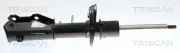 Stoßdämpfer Vorderachse rechts TRISCAN 8705 82110