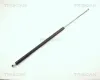 Gasfeder, Koffer-/Laderaum TRISCAN 8710 10203