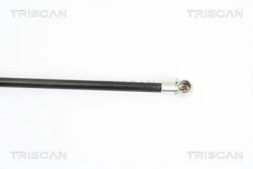 Gasfeder, Koffer-/Laderaum TRISCAN 8710 10208 Bild Gasfeder, Koffer-/Laderaum TRISCAN 8710 10208