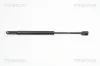 Gasfeder, Motorhaube TRISCAN 8710 11108
