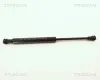 Gasfeder, Motorhaube TRISCAN 8710 11109