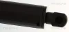 Gasfeder, Koffer-/Laderaum hinten links TRISCAN 8710 11143 Bild Gasfeder, Koffer-/Laderaum hinten links TRISCAN 8710 11143