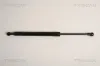 Gasfeder, Koffer-/Laderaum hinten links hinten rechts TRISCAN 8710 11230