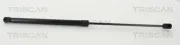 Gasfeder, Koffer-/Laderaum hinten links hinten rechts TRISCAN 8710 11246
