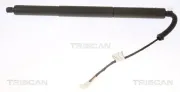 Gasfeder, Koffer-/Laderaum hinten rechts TRISCAN 8710 11308