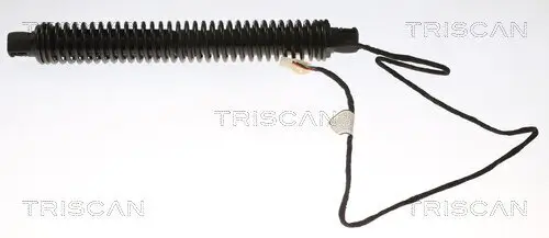 Gasfeder, Koffer-/Laderaum hinten rechts TRISCAN 8710 11310