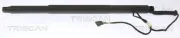 Gasfeder, Koffer-/Laderaum hinten links TRISCAN 8710 11311