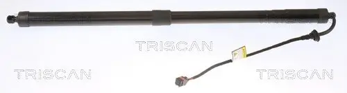 Gasfeder, Koffer-/Laderaum hinten links hinten rechts TRISCAN 8710 11313