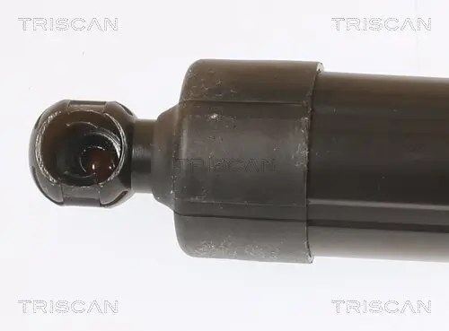 Gasfeder, Koffer-/Laderaum hinten links hinten rechts TRISCAN 8710 11313 Bild Gasfeder, Koffer-/Laderaum hinten links hinten rechts TRISCAN 8710 11313