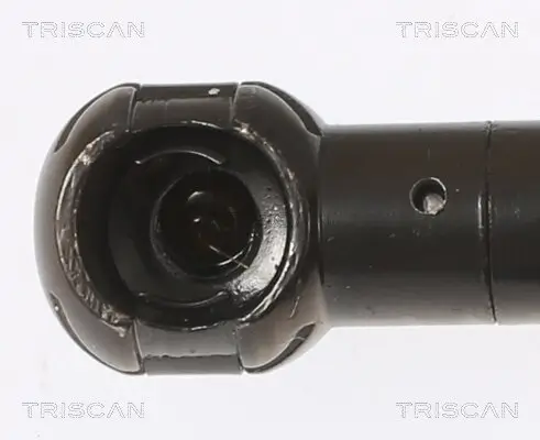Gasfeder, Koffer-/Laderaum hinten rechts TRISCAN 8710 11355 Bild Gasfeder, Koffer-/Laderaum hinten rechts TRISCAN 8710 11355
