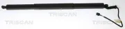 Gasfeder, Koffer-/Laderaum hinten links hinten rechts TRISCAN 8710 11360
