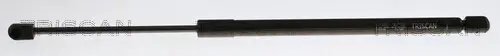 Gasfeder, Koffer-/Laderaum hinten links hinten rechts TRISCAN 8710 11362 Bild Gasfeder, Koffer-/Laderaum hinten links hinten rechts TRISCAN 8710 11362