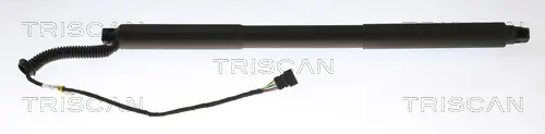 Gasfeder, Koffer-/Laderaum links TRISCAN 8710 11363