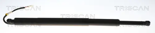 Gasfeder, Koffer-/Laderaum TRISCAN 8710 11369
