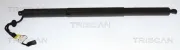Gasfeder, Koffer-/Laderaum links TRISCAN 8710 11370