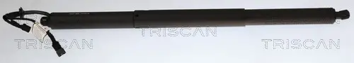 Gasfeder, Koffer-/Laderaum rechts TRISCAN 8710 11371