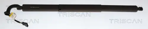 Gasfeder, Koffer-/Laderaum links rechts TRISCAN 8710 11373