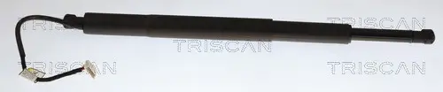 Gasfeder, Koffer-/Laderaum links rechts TRISCAN 8710 11376