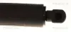 Gasfeder, Koffer-/Laderaum links TRISCAN 8710 11382 Bild Gasfeder, Koffer-/Laderaum links TRISCAN 8710 11382