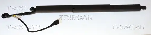 Gasfeder, Koffer-/Laderaum rechts TRISCAN 8710 11383