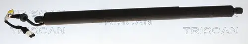 Gasfeder, Koffer-/Laderaum links rechts TRISCAN 8710 11385