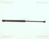 Gasfeder, Koffer-/Laderaum hinten links hinten rechts TRISCAN 8710 12210