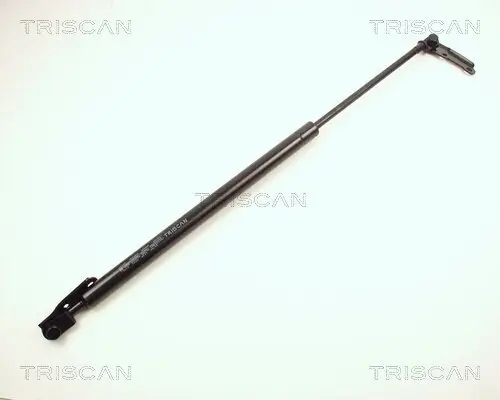 Gasfeder, Koffer-/Laderaum rechts TRISCAN 8710 13225