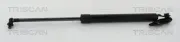 Gasfeder, Koffer-/Laderaum links TRISCAN 8710 13290
